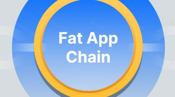 胖应用链（Fat App Chain）理论