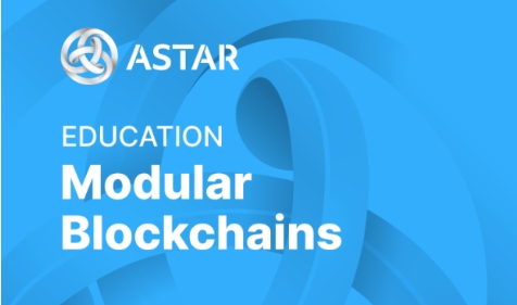 模块化区块链是什么？Astar 将怎样融入其中？