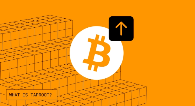 详解Taproot Consensus：最原生、最去中心化的BTC L2解决方案