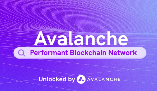 Avalanche架构深度解析