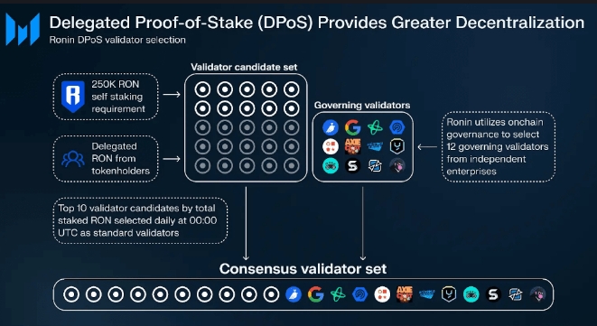Ronin王者归来之路：深度解析Ronin生态图谱及DPoS迁移的影响