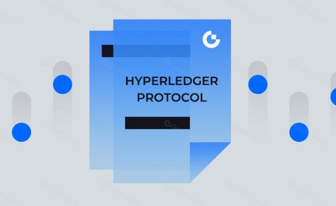 什么是 Hyperledger 协议？