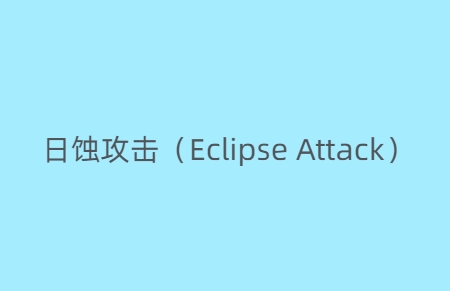 日蚀攻击（Eclipse Attack）