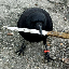 crow with knife（CAW）