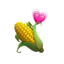 CORN