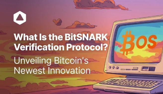 什么是 BitSNARK 验证协议？揭秘比特币的最新创新