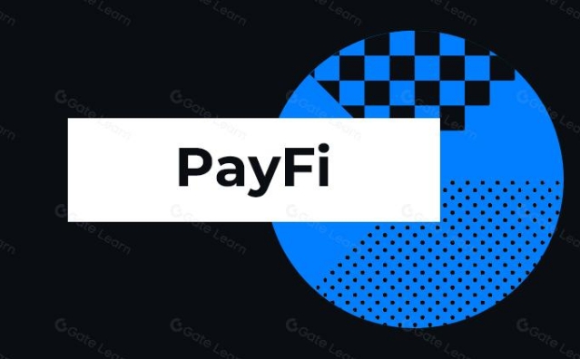 PayFi 是什么？