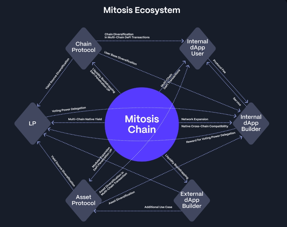 Mitosis - 构建协同增长的流动性桥梁