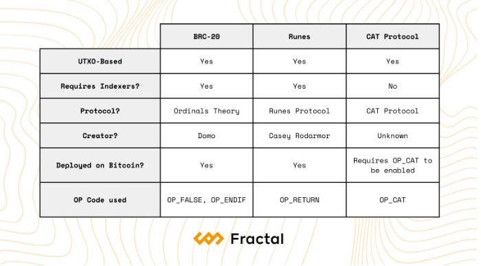 CAT Protocol 是什么？