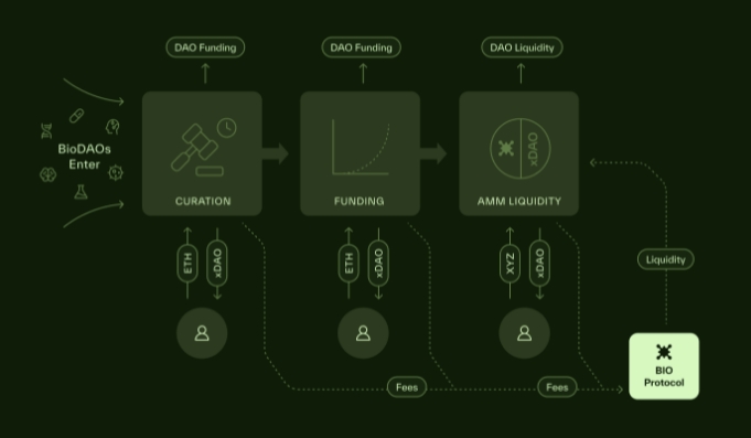 BIO Protocol 一个去中心化科学（DeSci）协议